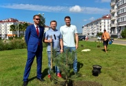 НАО «Центр «Омега» отметило день рождения Краснодарского края высадкой новых аллей